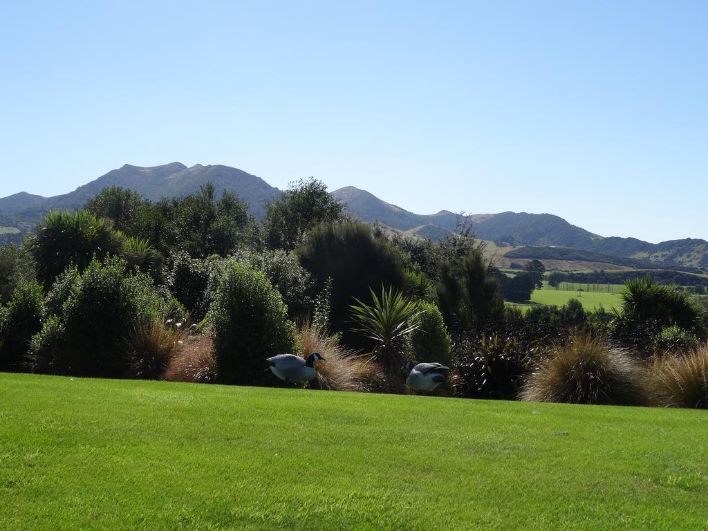 Hokonui Bed & Breakfast Gore Exterior photo